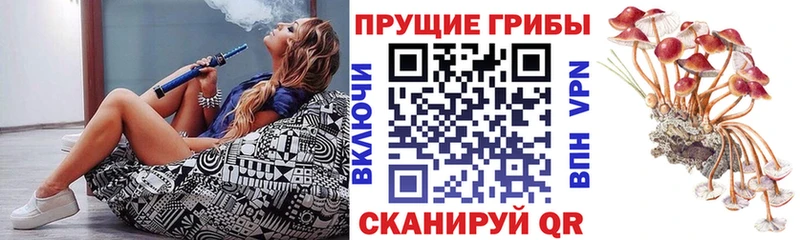 Псилоцибиновые грибы GOLDEN TEACHER  где можно купить   Калининец 